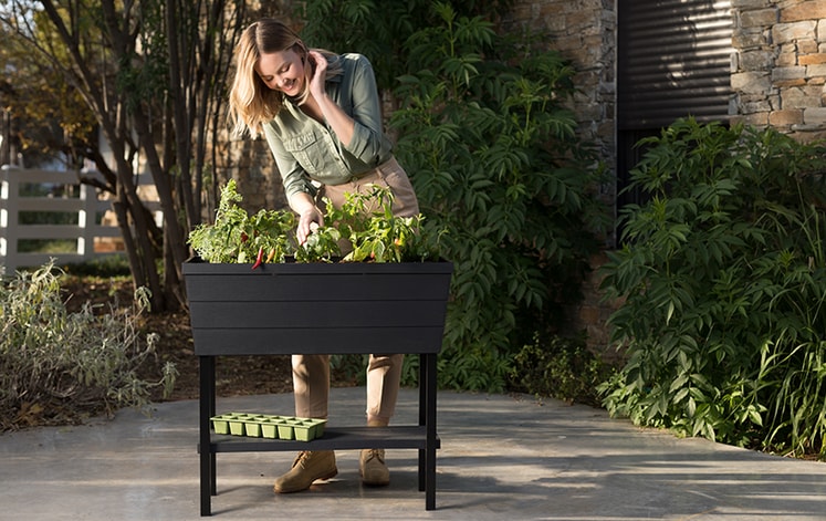 Graphite Urban Bloomer 12.7 Gallon Raised Garden Bed - Keter US